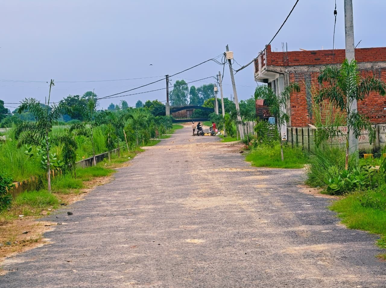 Dauwa Green City main asphalt entrance road with trees and electric poles