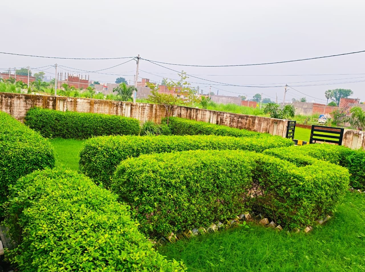 Lush green hedge park and landscaping in Dauwa Green City